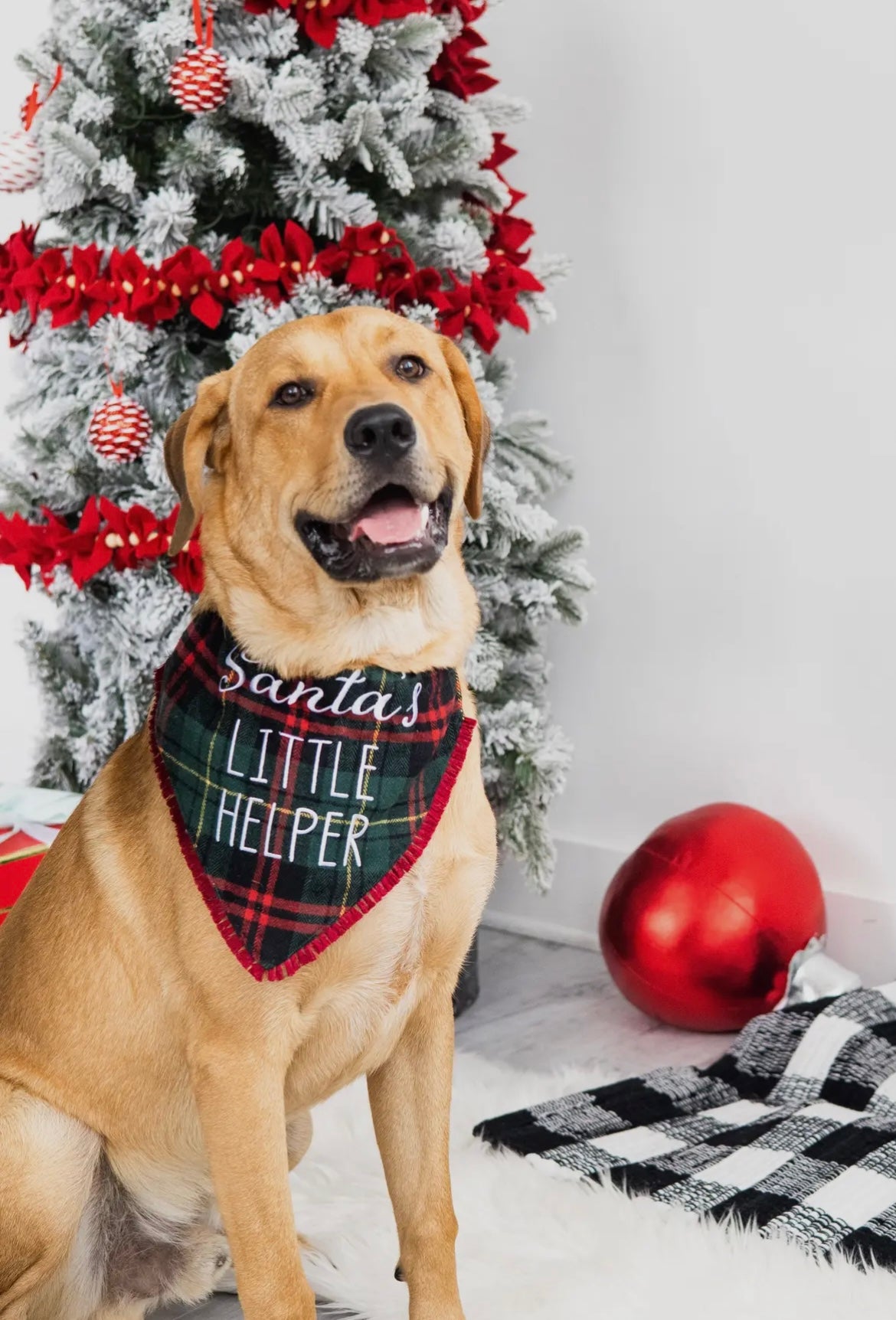 Santa’s Little Helper Christmas Dog Bandana M/L