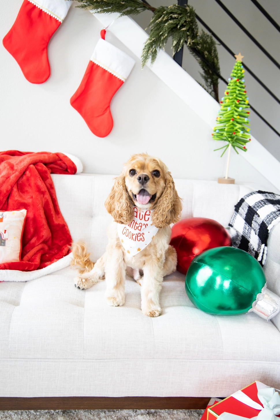 I Ate Santa’s Cookies Christmas Dog Bandana S/M