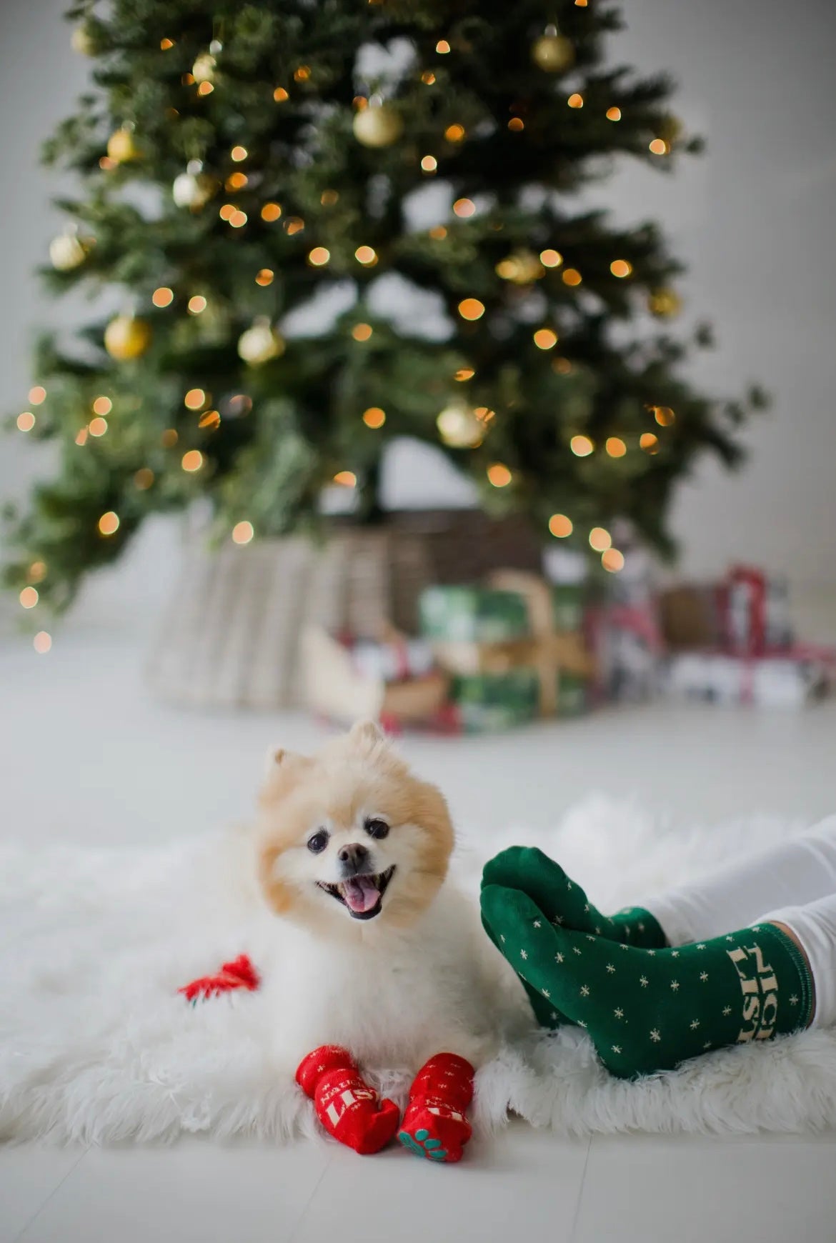 Nice & Naughty List Human & Dog Christmas Sock Set